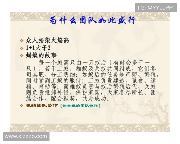 赛后复盘:探讨北京与重庆乒乓球队的团队协作与战术配合分析 赛后复盘:探讨北京与重庆乒乓球队的团队协作与战术配合分析